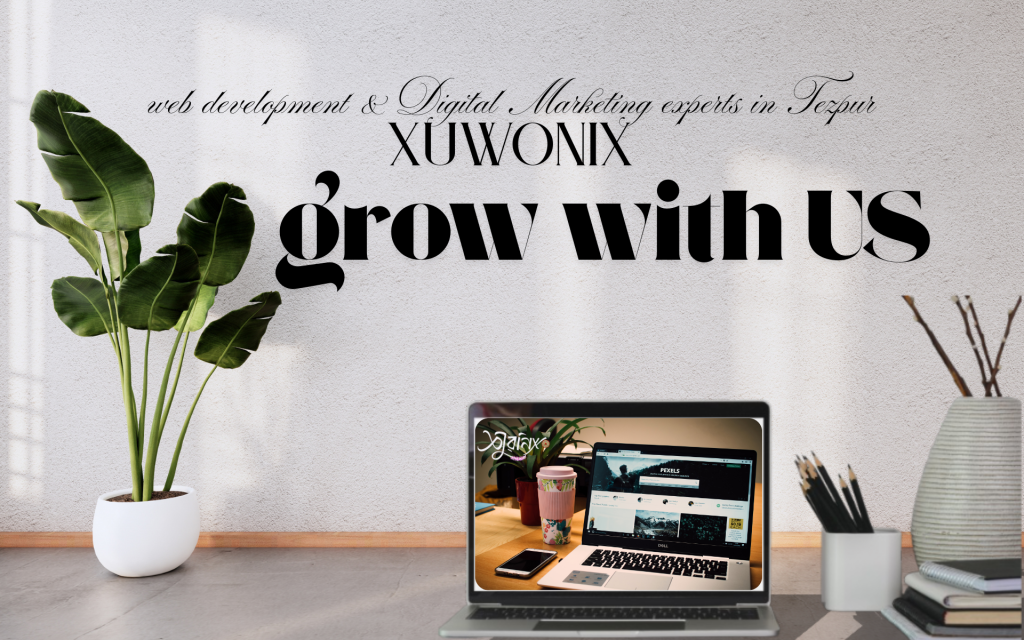 web development and digital marketing